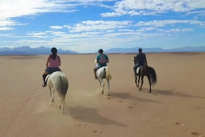 Explore The Desert &The Sea on a Horse Riding Cruise in Hurghada - Who should book this Hurghada ride?