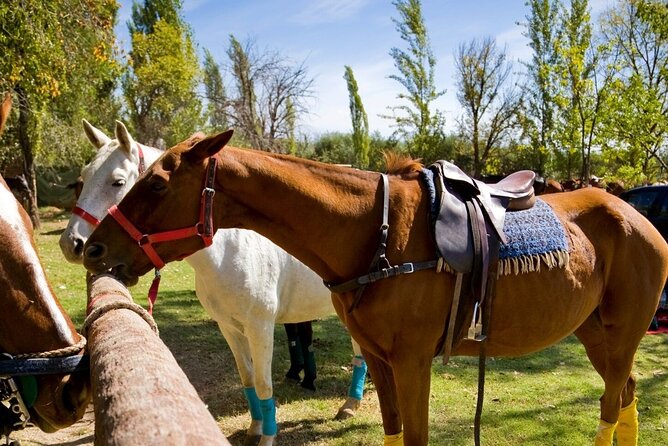 Extreme Horses Adventure with ATV, Ziplines & Cenote - Hotel pickup and the time commitment