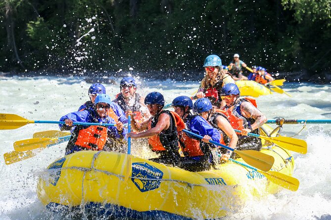 Extreme Whitewater Rafting on Kicking Horse River - Safety, confidence, and the guide’s role