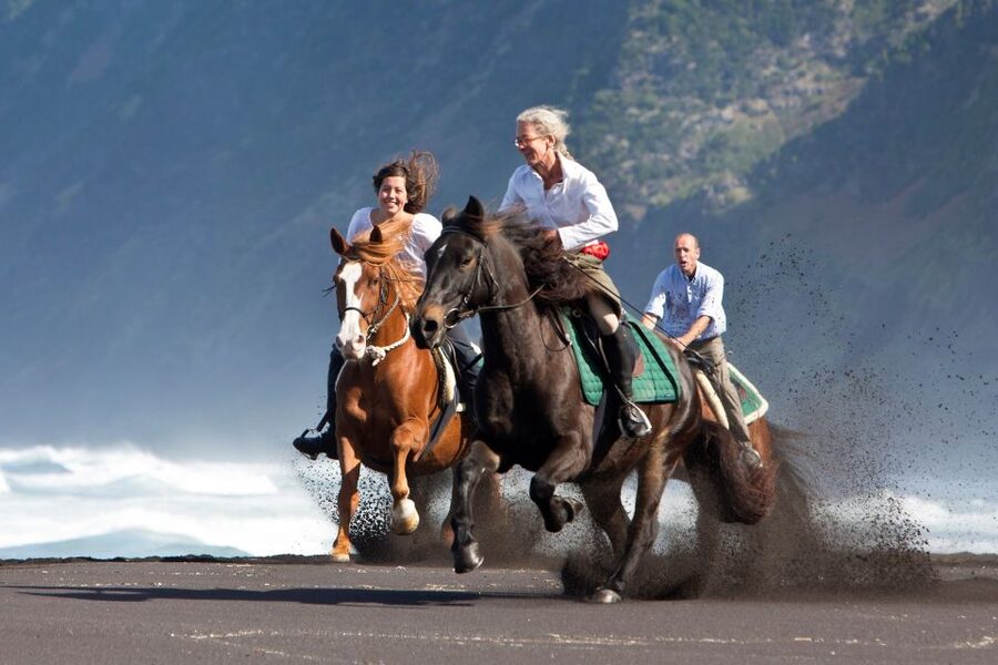 Faial Island: Horseback Riding (3 hrs - Experienced Riders) - Starting in Cedros with a proper riding introduction