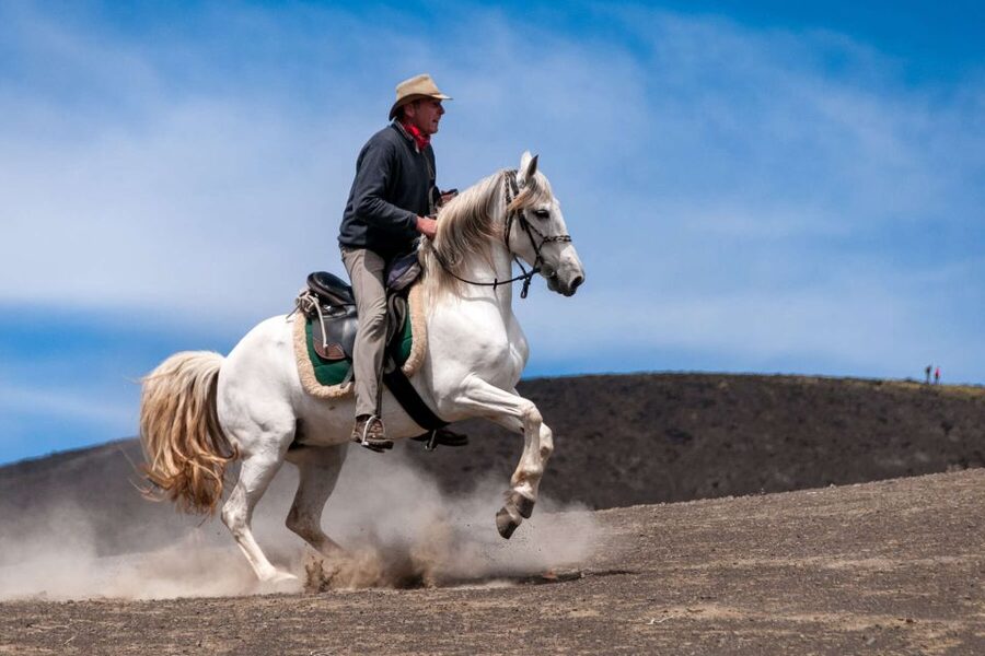 Faial Island: Horseback Riding (3 hrs - Experienced Riders) - Old farmhouses, villages, and Faial’s working countryside