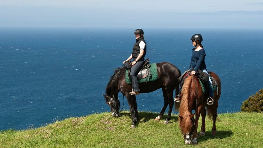 Faial Island: Horseback Riding (3 hrs - Experienced Riders) - A moderate trail for riders who want walk, trot, and canter
