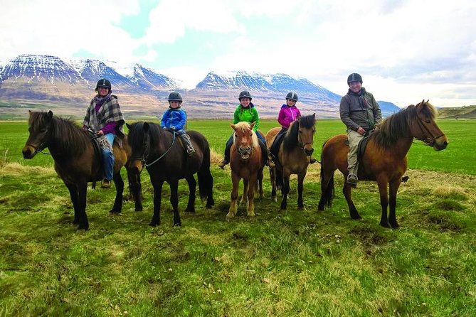 Family Friendly Horse Riding Tour in Skagafjörður - Key points to know before you ride