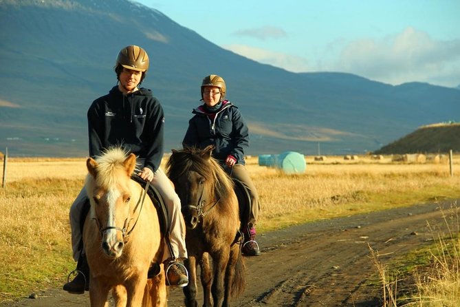 Family Friendly Horse Riding Tour in Skagafjörður - Riding through Skagafjörður on an Icelandic horse