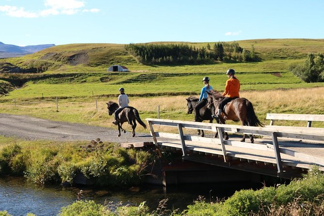 Family Friendly Horse Riding Tour in Skagafjörður - What the small group changes