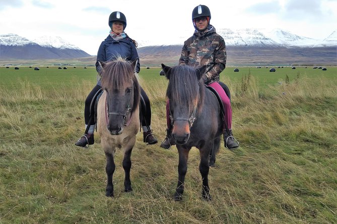 Family Friendly Horse Riding Tour in Skagafjörður - Gear, hot drinks, and Icelandic weather