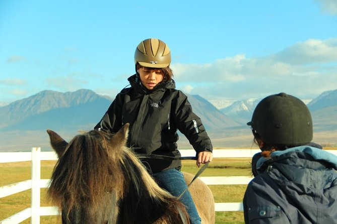Family Friendly Horse Riding Tour in Skagafjörður - Is the $90.05 price fair?