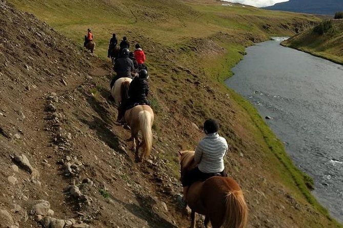 Family Friendly Horse Riding Tour in Skagafjörður - Who should book this ride?