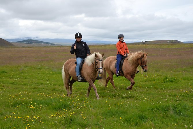 Family Friendly Horse Riding Tour in Skagafjörður - Gentle horses and a reassuring pace for families