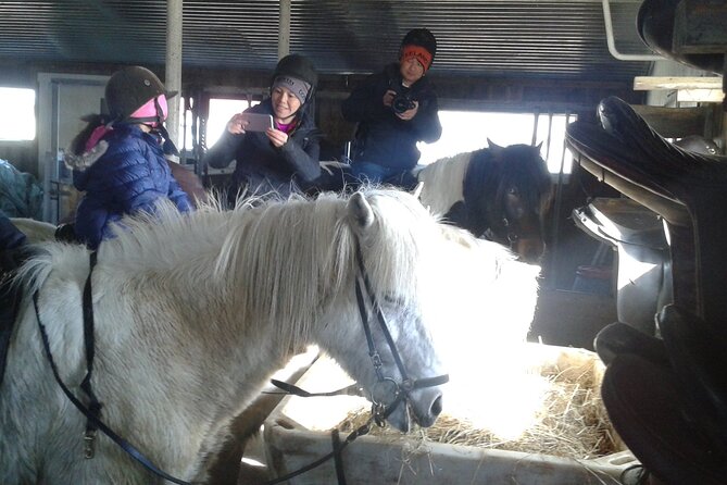 Family Horse Riding Tour in Thorlakshofn - Riding Icelandic horses from Þorlákshöfn