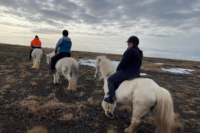 Family Horse Riding Tour in Thorlakshofn - Icelandic horses and guide support