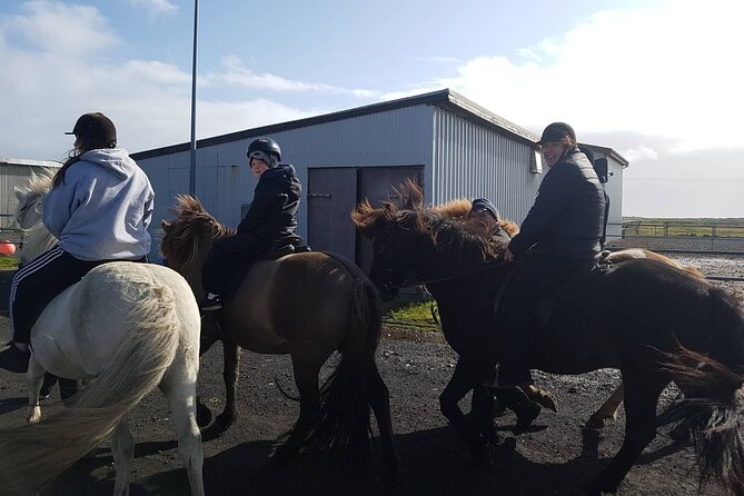 Family Horse Riding Tour in Thorlakshofn - What riding difficulty really means here
