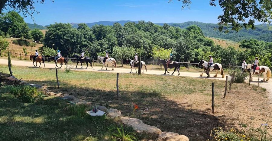 Fattoria Tègoni: horseback riding in Tuscany - Why the small group makes a difference