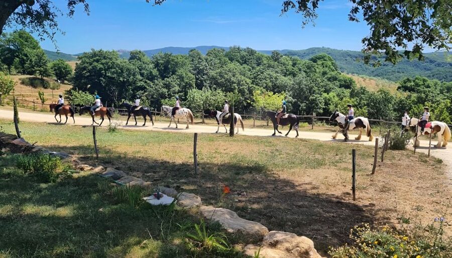 Fattoria Tègoni: horseback riding in Tuscany - Cinta Senese cured meats and local products