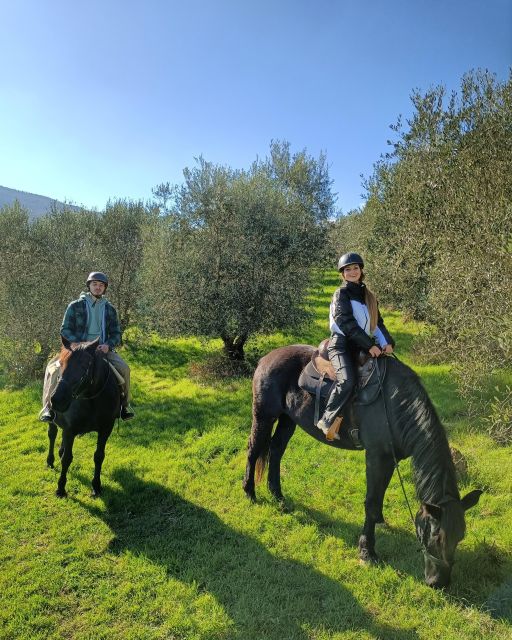 Fattoria Tègoni: horseback riding in Tuscany - Cooking classes that finish at the table