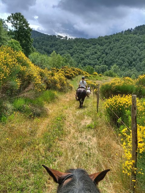 Fattoria Tègoni: horseback riding in Tuscany - Wine tasting and pedal-assisted cycling