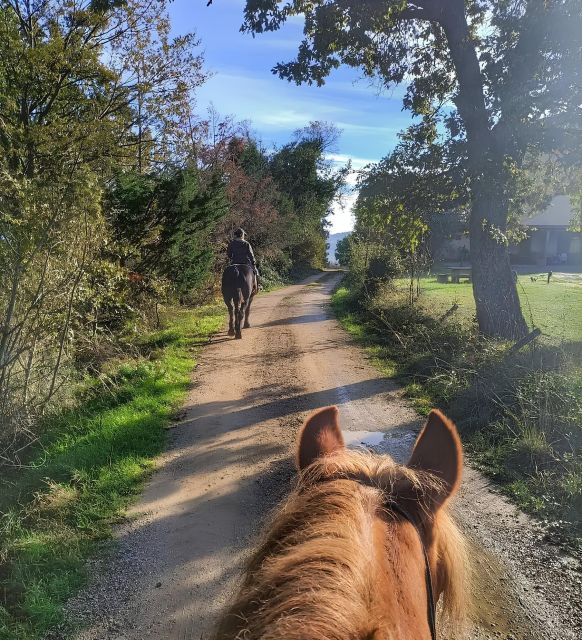 Fattoria Tègoni: horseback riding in Tuscany - Riding rules for children under 14