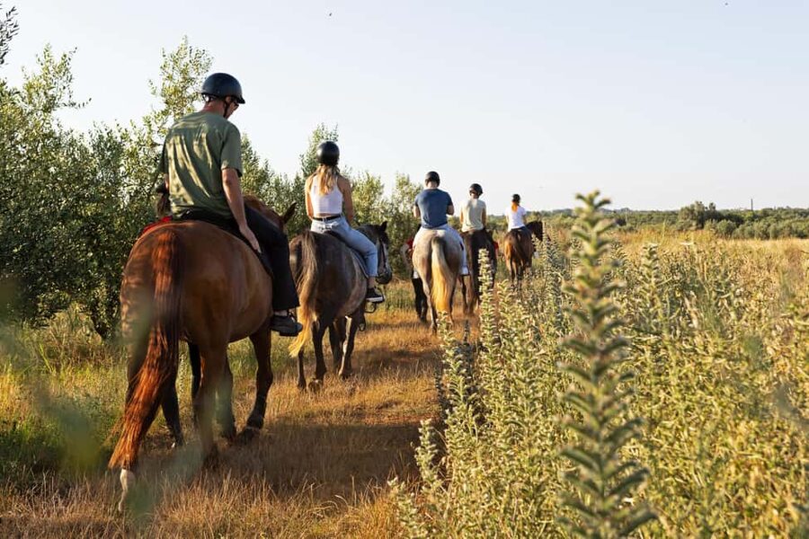 Fazana: Sunset 1-hour Horse Riding in Nature with Guide - What to bring to the farm