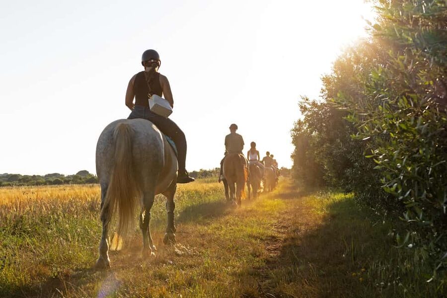 Fazana: Sunset 1-hour Horse Riding in Nature with Guide - The meadow photo stop