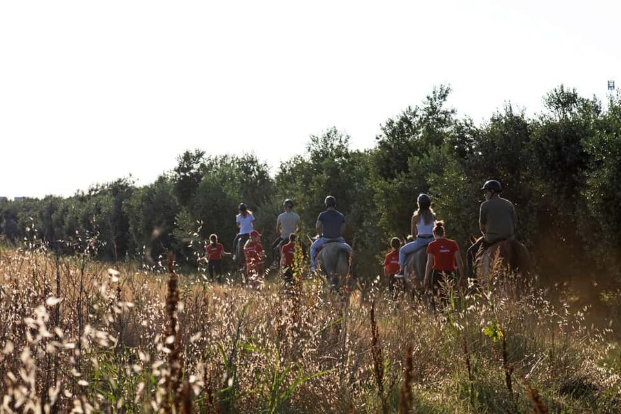 Fazana: Sunset 1-hour Horse Riding in Nature with Guide - Olive groves and local nature
