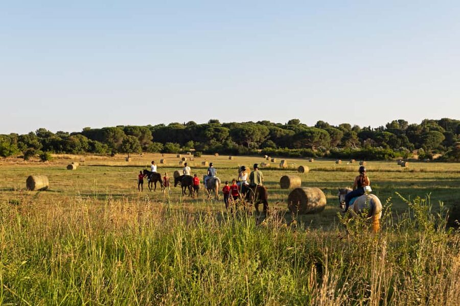 Fazana: Sunset 1-hour Horse Riding in Nature with Guide - One hour through Fažana’s pine woods