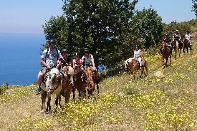 Fethiye Horse Riding Experience - A 15-minute briefing before you ride