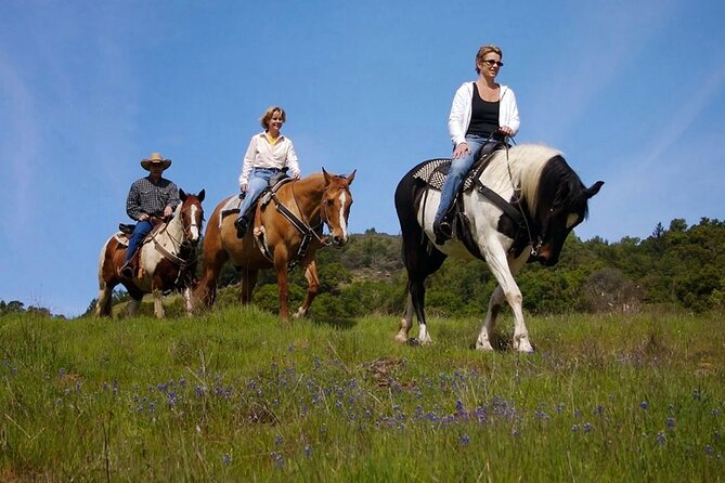 Fethiye Horse Riding Experience With Free Hotel Transfer Service - Riding toward Kayakoy through Fethiye’s pine country