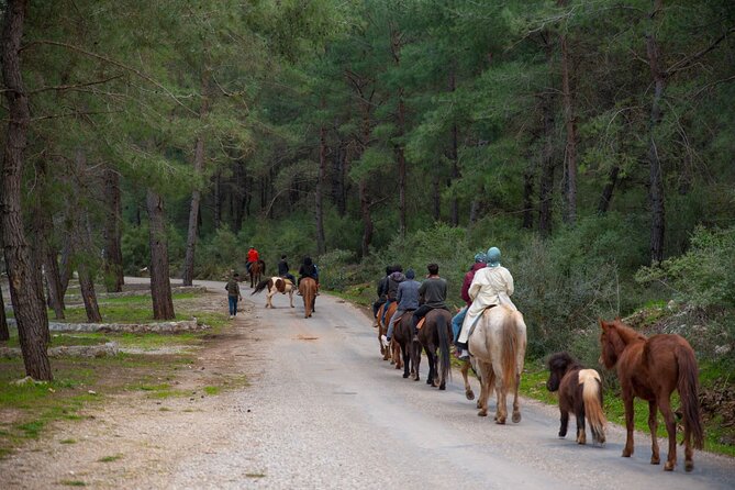 Fethiye Horse Riding Experience With Free Hotel Transfer Service - Hotel transfer and group size
