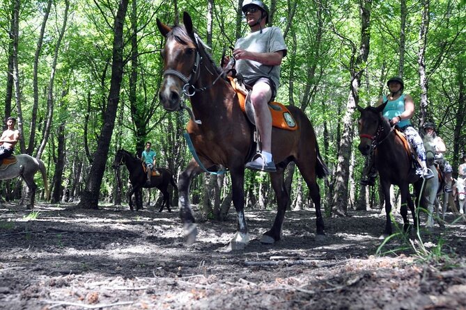Fethiye Horse Riding Experience With Free Hotel Transfer Service - What to wear and bring