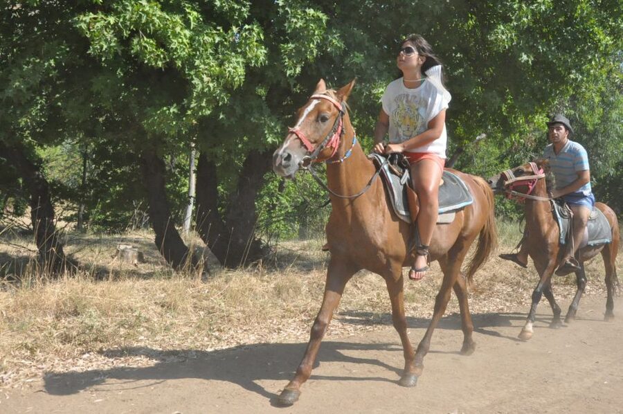 Fethiye Horse Safari - Practical booking details for Fethiye
