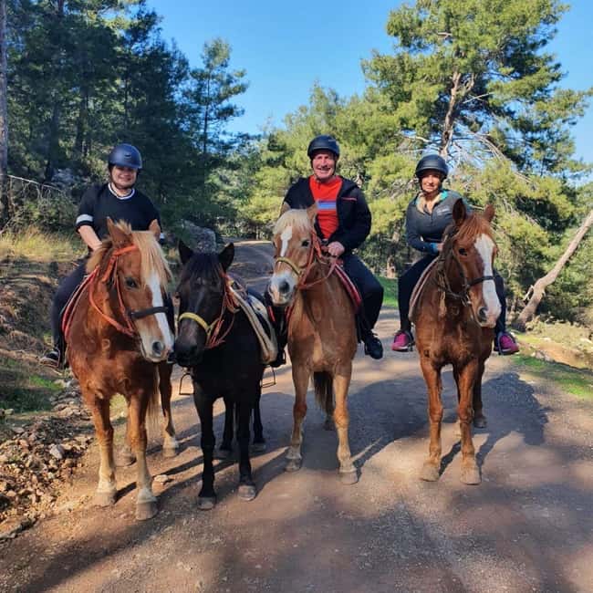 Fethiye Horse Safari Tour, Forest and Hisaronu View - Booking Tips for a Smoother Visit