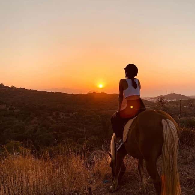 Fethiye Horse Safari Tour, Forest and Hisaronu View - What the 45 to 60 Minute Ride Feels Like
