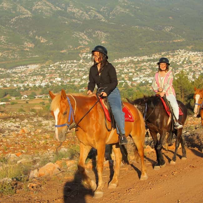Fethiye Horse Safari Tour, Forest and Hisaronu View - The Farm After the Ride