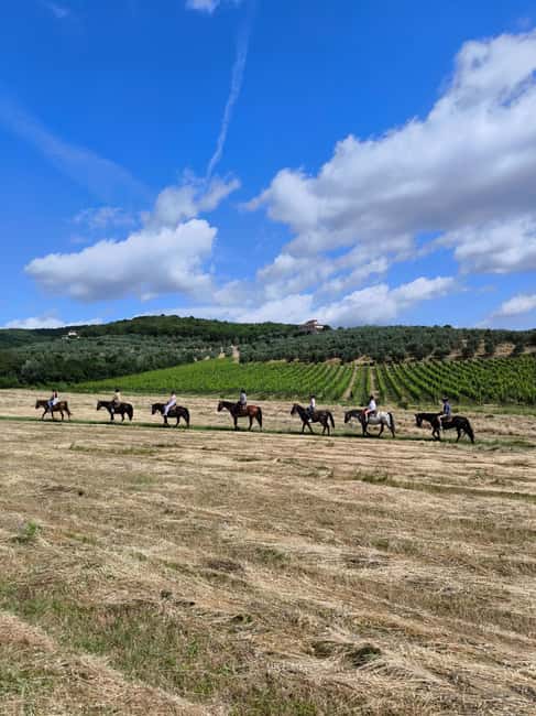 Florence: Horseback Riding Tour with Wine Tasting & Transfer - Riding among vineyards and olive trees