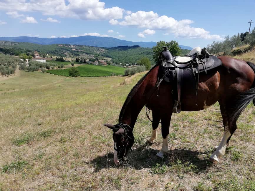 Florence: Horseback Riding Tour with Wine Tasting & Transfer - Who should book this experience