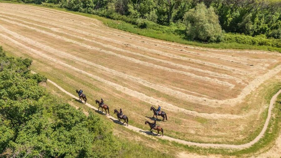 Florence: Horseback Riding Tour with Wine Tasting & Transfer - Practical details that make the day easier