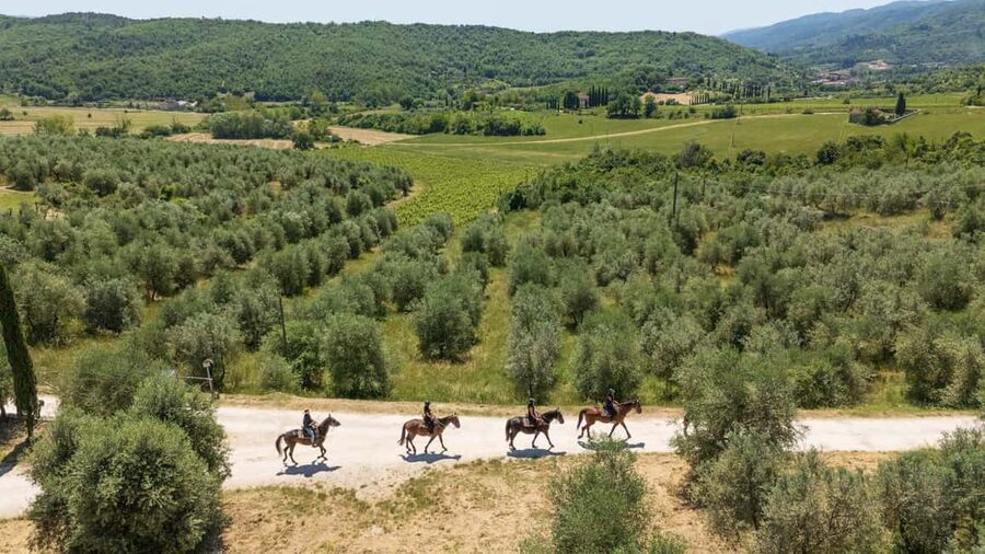 Florence: Horseback Riding Tour with Wine Tasting & Transfer - Meeting the horses and learning the basics