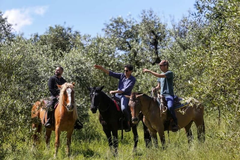 Florence: Private Horseback Ride with Tuscan Lunch or Dinner - Key points at a glance