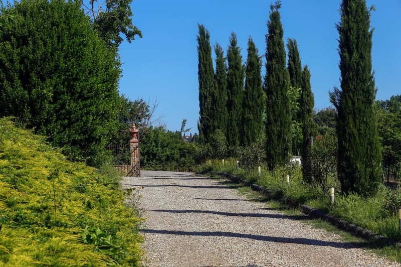 Florence: Private Horseback Ride with Tuscan Lunch or Dinner - Meeting the horses at the family-run stable