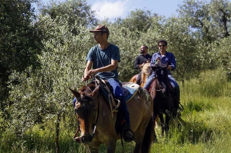 Florence: Private Horseback Ride with Wine Aperitivo - Key points at a glance