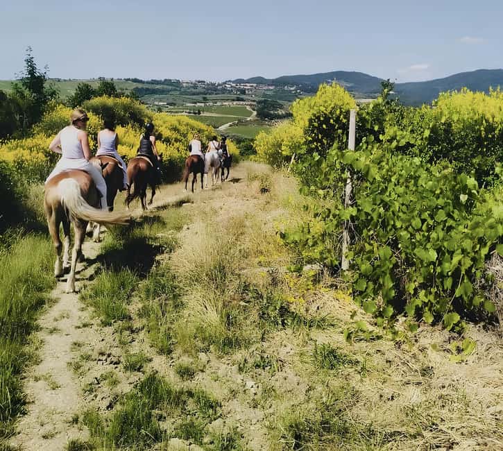 Florence: Tuscan Countryside Horseback Ride - One hour on Tuscan horseback