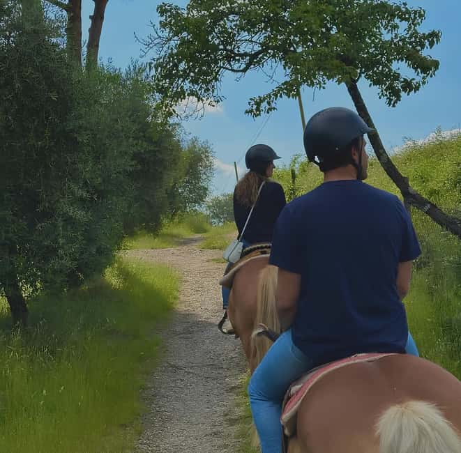 Florence: Tuscan Countryside Horseback Ride - Is $68 a fair price?