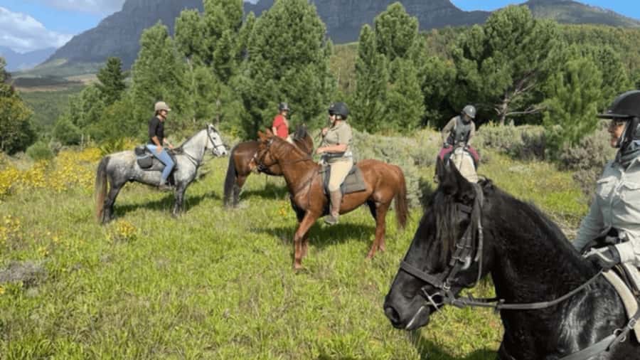 Franschhoek: Half Day Horse Trail and Wine Tasting - From Franschhoek farm tracks to the Great Drakenstein Mountains
