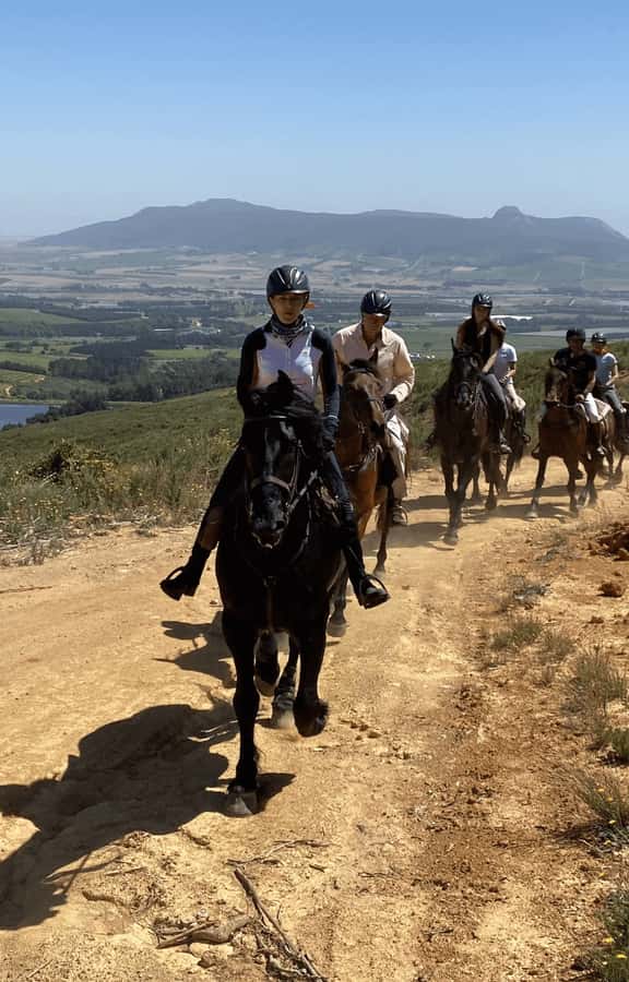 Franschhoek: Half Day Horse Trail and Wine Tasting - Why the working farm setting matters