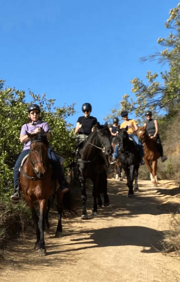 Franschhoek: Half Day Horse Trail and Wine Tasting - Returning from the mountains for wine