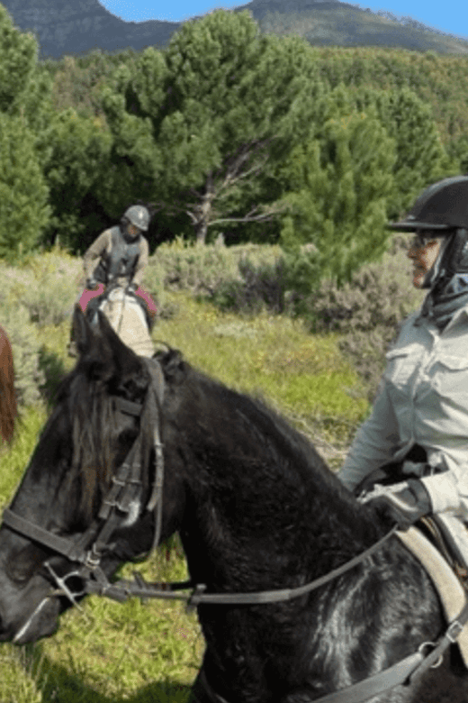 Franschhoek: Half Day Horse Trail and Wine Tasting - Arrival, safety, and clothing details that matter