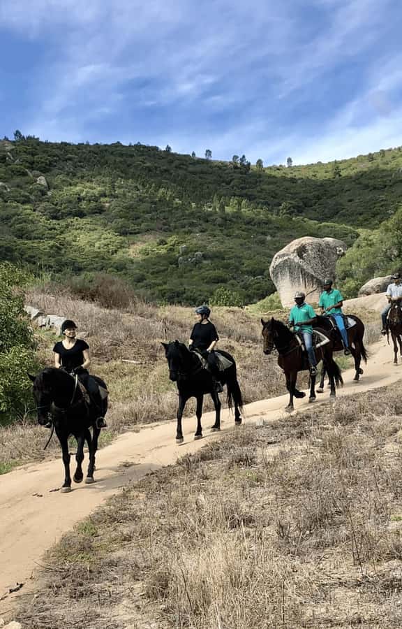 Franschhoek: Half Day Horse Trail and Wine Tasting - Should you book it?
