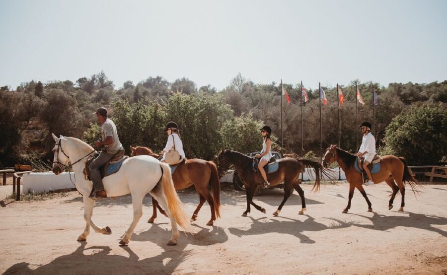 From Albufeira: Half-Day Hidden Gems & Horse Riding Tour - Should you book it?