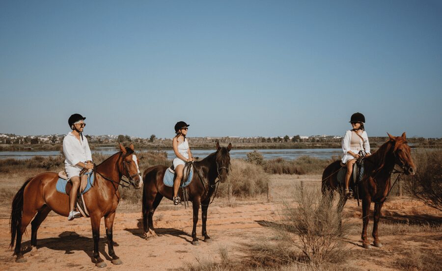 From Albufeira: Horse Riding Tour with Pickup - What beginners can expect from the pace