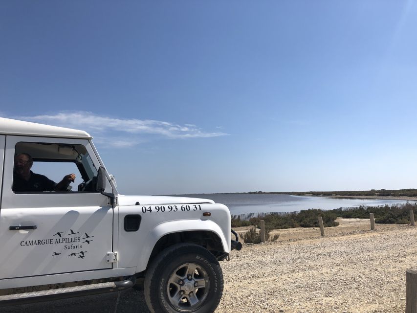 From Arles: Half-Day 4x4 Camargue Safari - Who should book this safari?